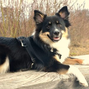 Jara liegend